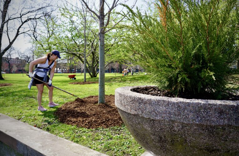 Bridgeport and McKinley Park Celebrate Earth Day
