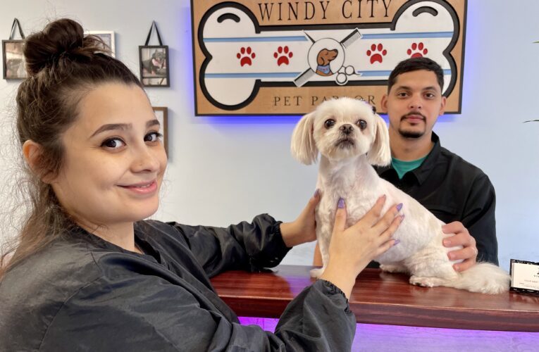 McKinley Park’s Posh New Destination: ‘Windy City Pet Parlor’ – A Premier Luxury Pet Salon Debuts!
