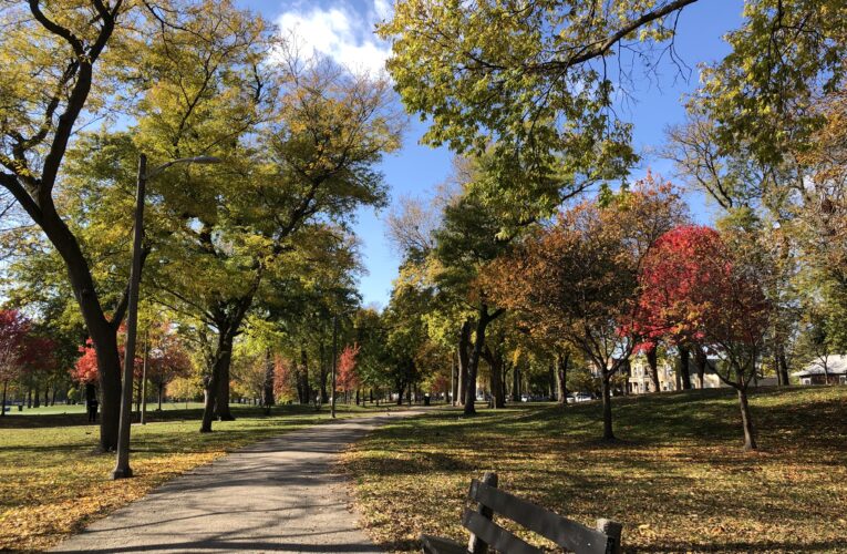 McKinley Park’s Bright Future: Young Couples Flock to Make it Home